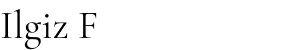 Ilgiz F