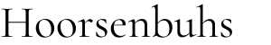 Hoorsenbuhs